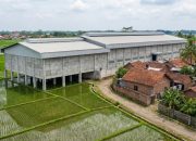 Dugaan Pelanggaran LP2B: Gudang Diduga Berdiri Di Atas Lahan Sawah Di Pademawu