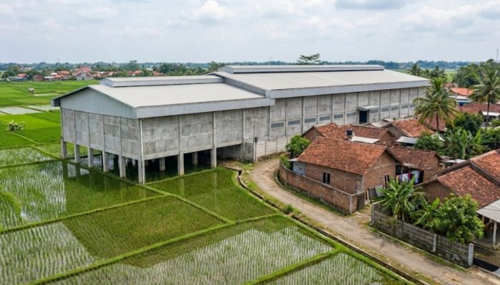Dugaan Pelanggaran LP2B: Gudang Diduga Berdiri Di Atas Lahan Sawah Di Pademawu